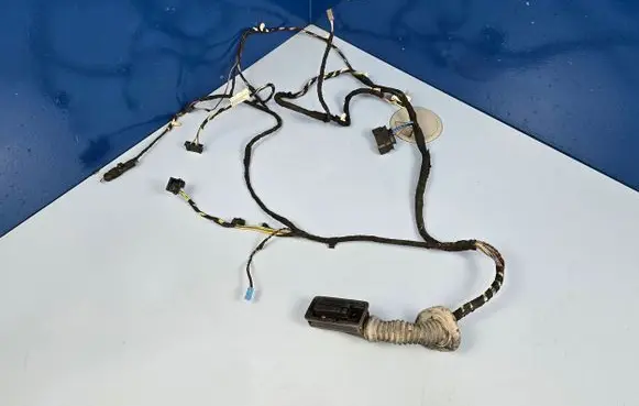 BMW 3 F30 F35 F31 Front door wiring loom 9313619 9313601