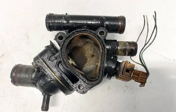 Renault Megane II Engine coolant pipe/hose 7700866730 7700866731