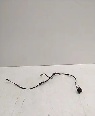 Rear door wiring loom
