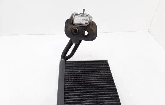 Mercedes-Benz B W245 Air conditioning (A/C) radiator (interior) 2208300384