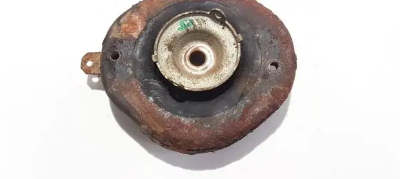 Coil spring mount