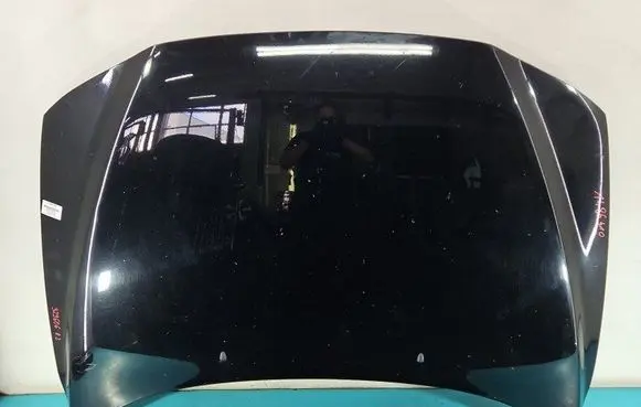 Engine bonnet/hood