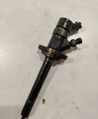 Citroen Berlingo Fuel injector 0445110239
