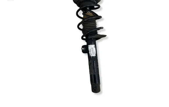BMW 1 F20 F21 Front shock absorber with coil spring 6865128 22287529