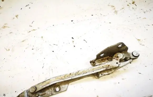 Tailgate/trunk/boot hinge
