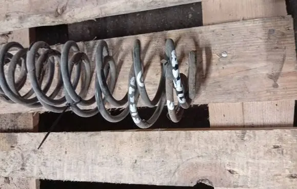 Rear coil spring