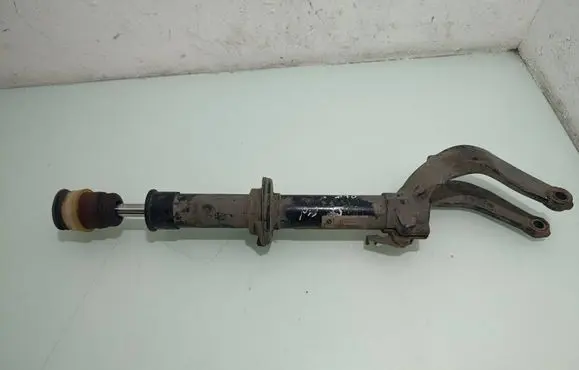 BMW X5 E70 Front shock absorber/damper 22244957