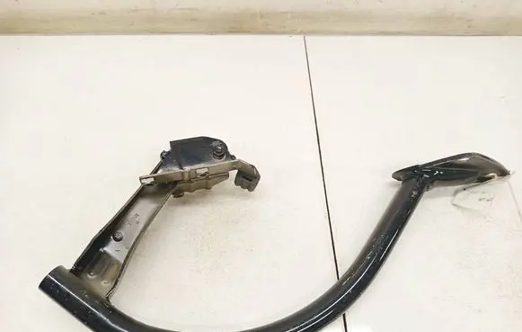Volkswagen PASSAT CC Tailgate/trunk/boot hinge 100365