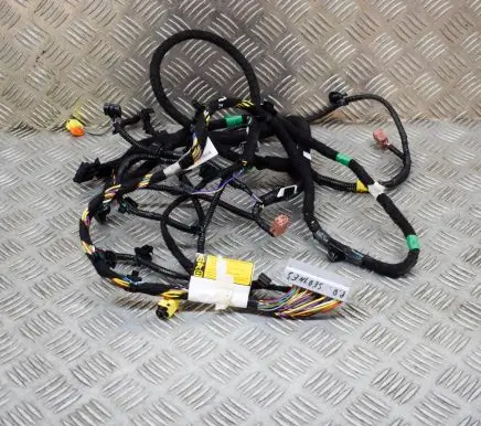 Tesla Model 3 Other wiring loom 148906005C