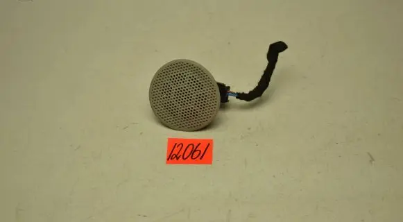 Panel speaker