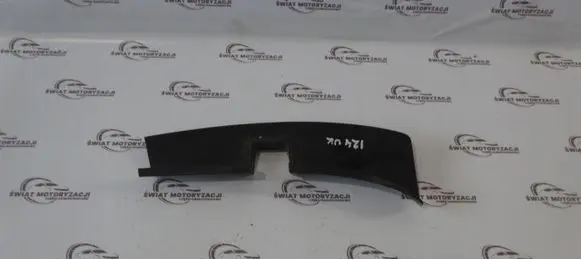 Rear/tail light trim molding