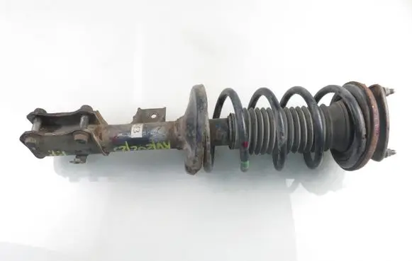 Suzuki Grand Vitara II Front shock absorber with coil spring