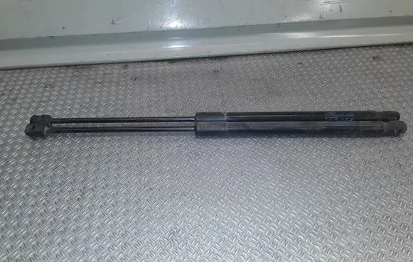 Tailgate/trunk strut/damper
