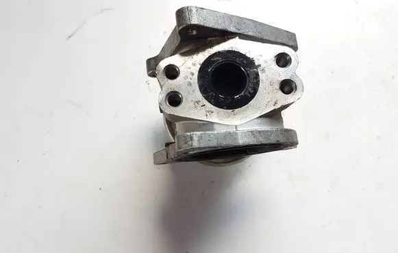 Skoda Octavia Mk2 (1Z) EGR valve 038131501AN 222905126
