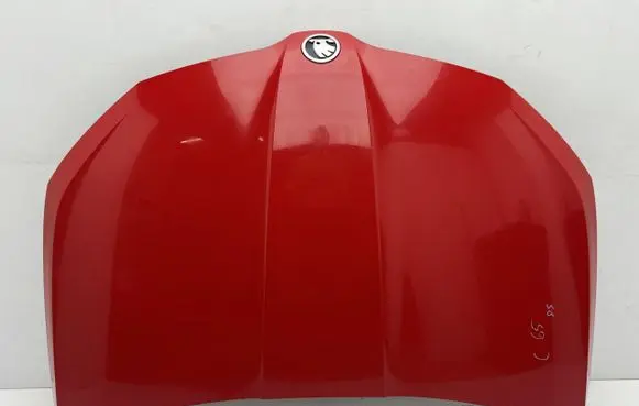 Skoda Fabia Mk3 (NJ) Front door FABIAMASKASULIK1