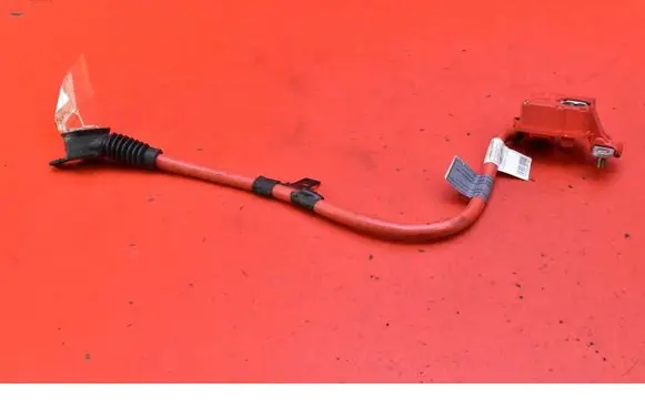 BMW 7 F01 F02 F03 F04 Other wiring loom 9203570
