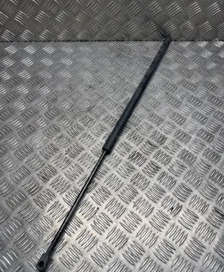 Tailgate/trunk strut/damper