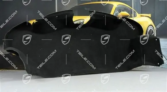 Porsche Boxster 987 Parcel shelf load cover 98755105303A31