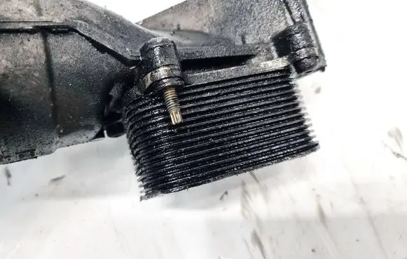 Peugeot 407 Engine oil radiator 