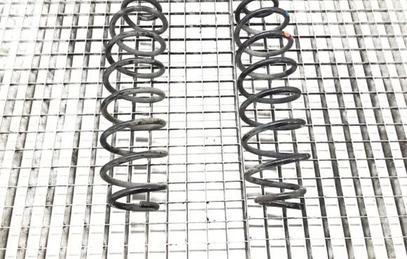 Rear coil spring