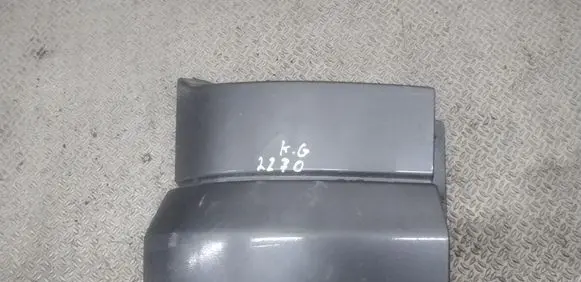 Rear/tail light trim molding