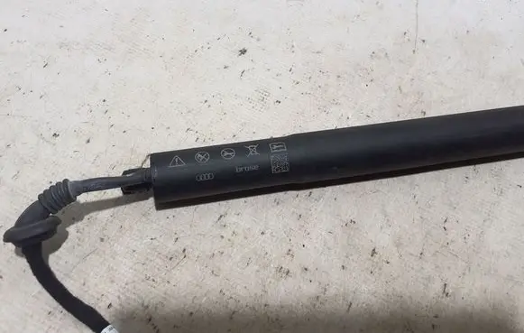 Tailgate strut