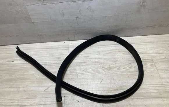 Mercedes-Benz CLS C219 Rear door rubber seal (on body) A2196970351