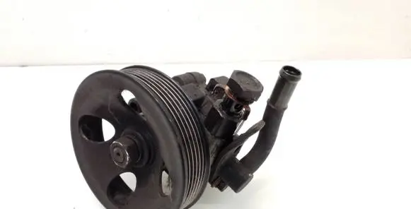 Hyundai Santa Fe Power steering pump