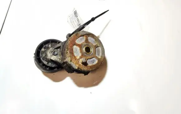 Peugeot Partner Generator/alternator belt tensioner