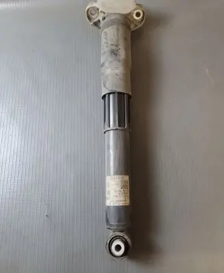 Volkswagen ID.4 Rear shock absorber/damper 1EA512013