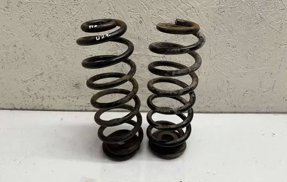 Rear coil spring