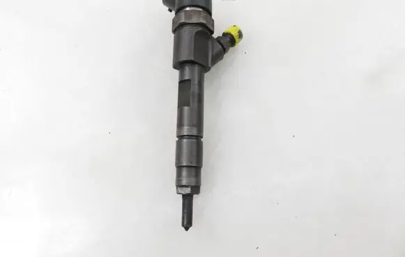 Renault Espace - Grand espace IV Fuel injector 0445110110B 8200100272