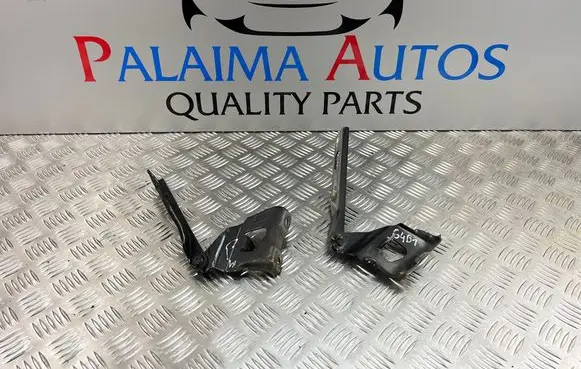 Engine bonnet/hood hinges