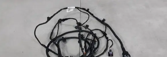Volkswagen T-Roc Parking sensor (PDC) wiring loom 2GA971104E