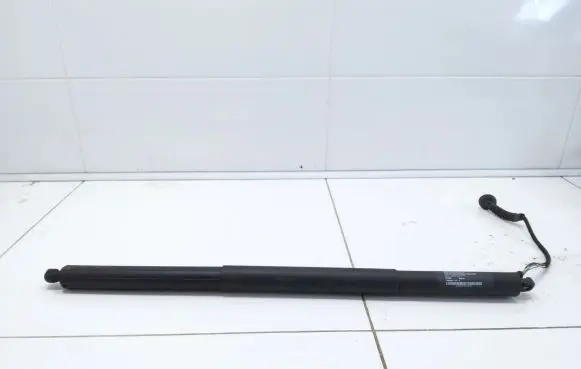 Tailgate strut
