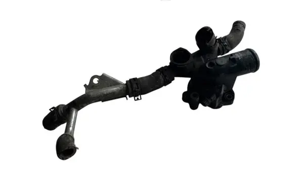 Thermostat/thermostat housing