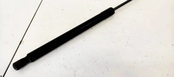 Tailgate/trunk strut/damper
