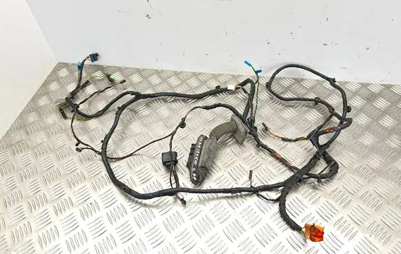 BMW 5 F10 F11 Front door wiring loom 9240882 2922984 EGB557