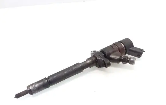 Citroen C4 I Fuel injector 0445110239 DD907606680