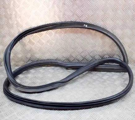 BMW 2 F22 F23 Rubber seal front coupe door 7267911