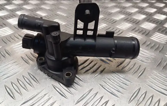 Thermostat/thermostat housing