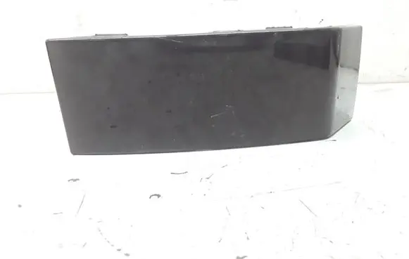Rear/tail light trim molding