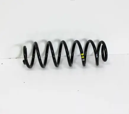 Rear coil spring