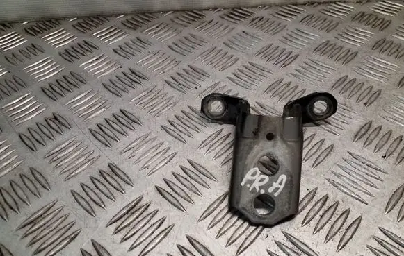 Nissan Juke I F15 Front door lower hinge 