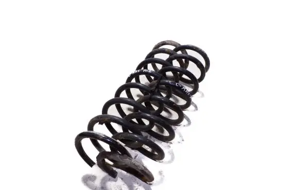 Ford Focus C-MAX Rear coil spring