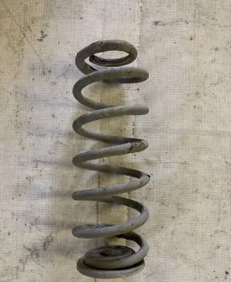 Rear coil spring