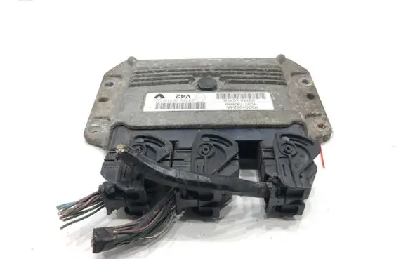 Engine control unit/module ECU