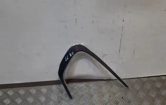 BMW X6 E71 Door glass trim 