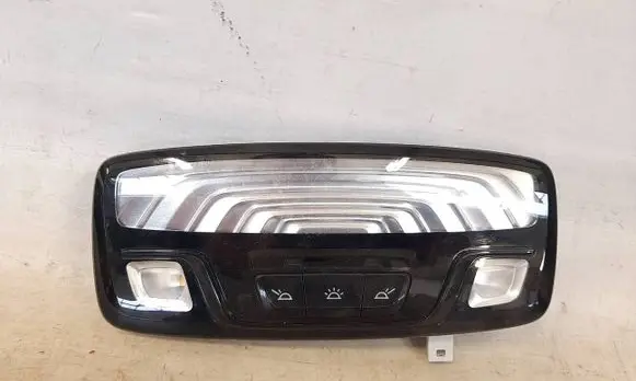 BMW X3 G01 Rear seat light 