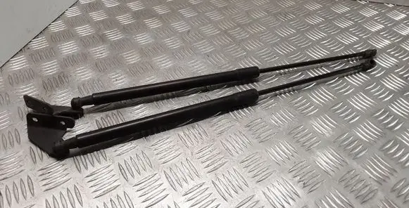 Nissan Qashqai Front bonnet/hood damper/strut 90450JD01B